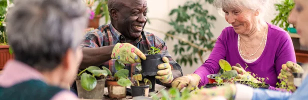 Group of residents gardening