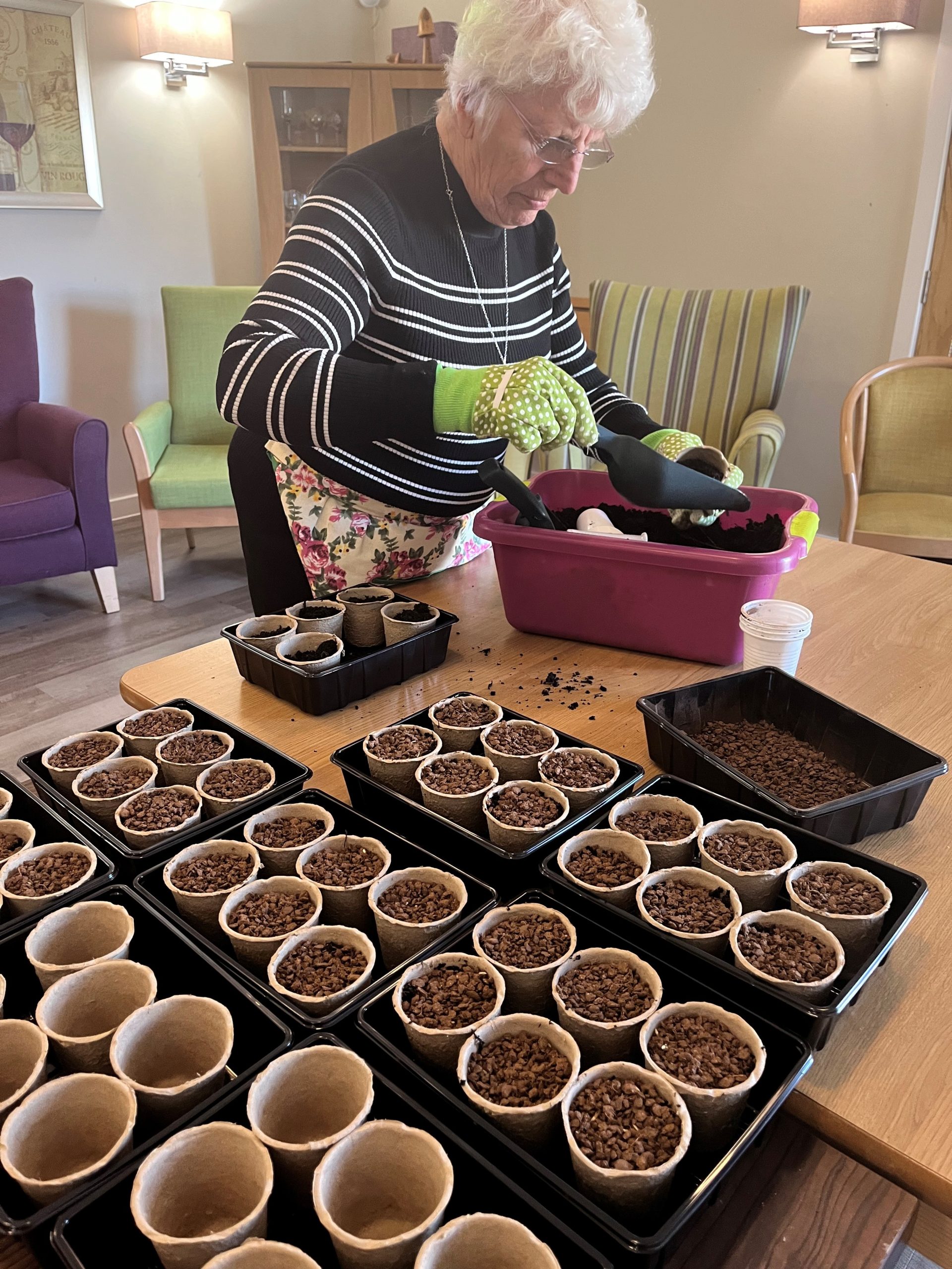 care home activities | spring plants | Kirk Lane | Livingston